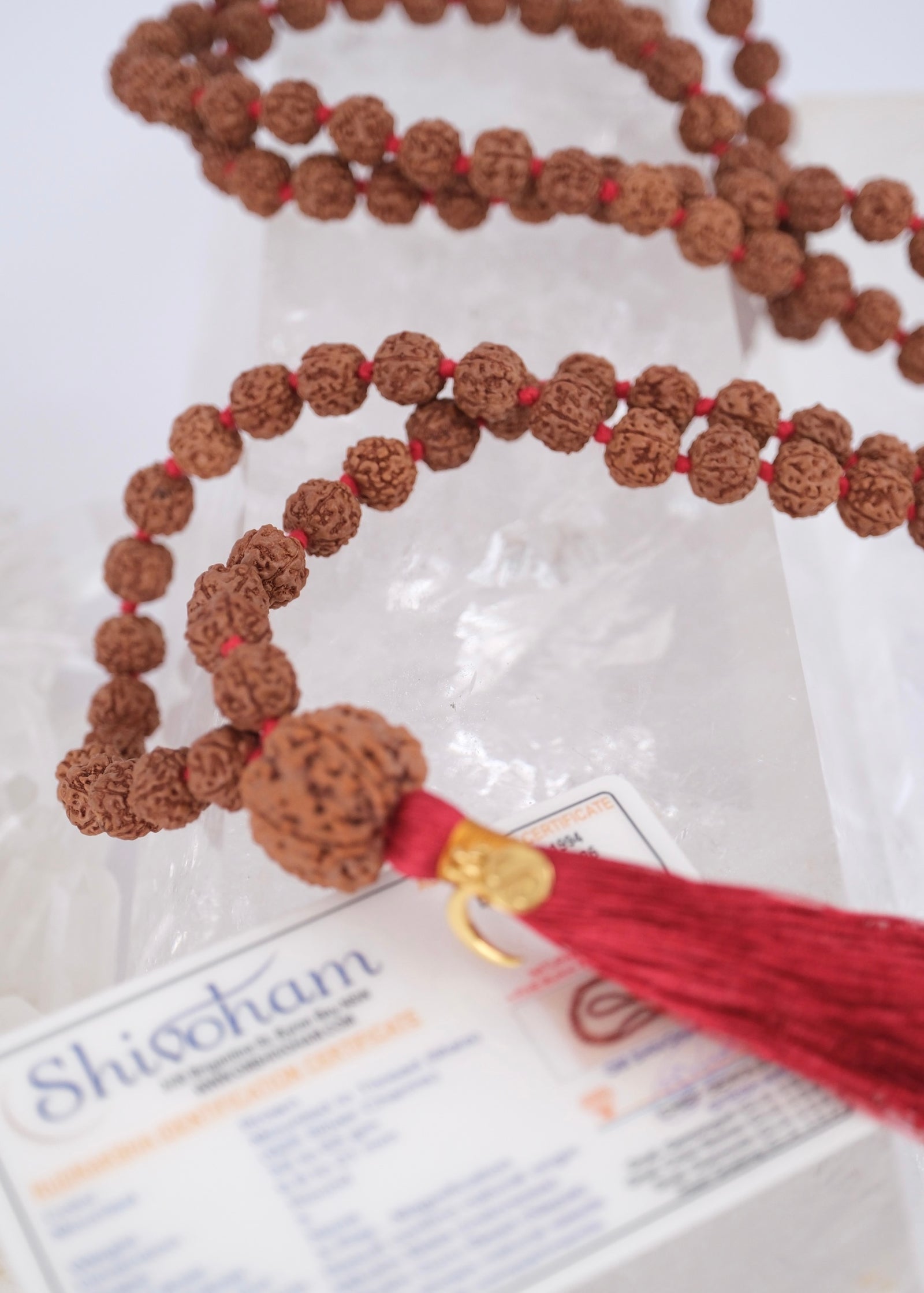 TEMPLE Collection: MAHADEV | NEPAL 5 Mukhi Guru bead, large 10mm premium Rudraksha Mala