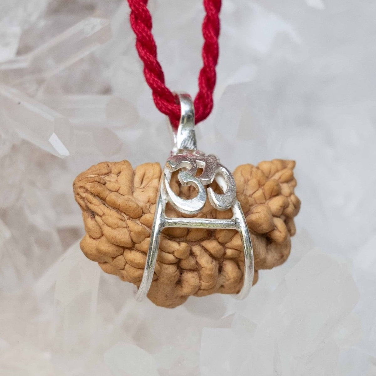 1 Mukhi OM Sterling Silver Collectors Rudraksha Pendant | SHIVA Consciousness &amp; Liberation