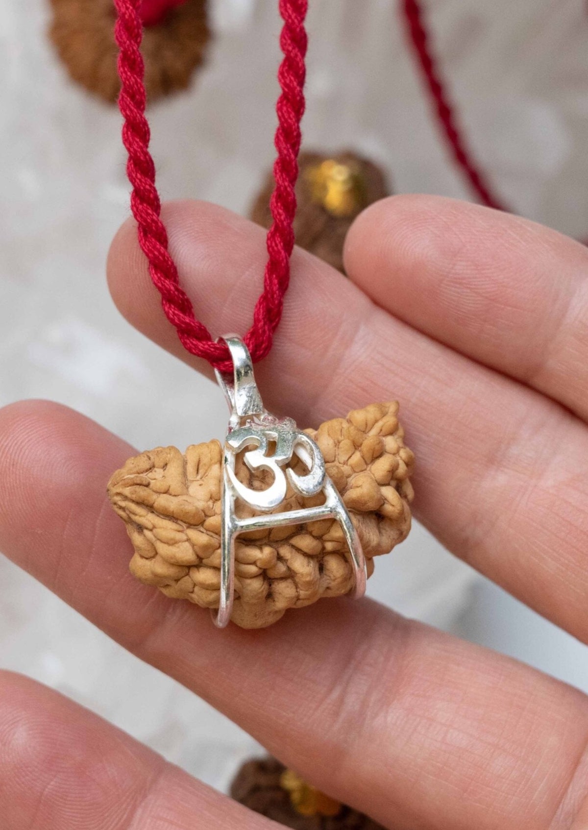 1 Mukhi OM Sterling Silver Collectors Rudraksha Pendant | SHIVA Consciousness &amp; Liberation