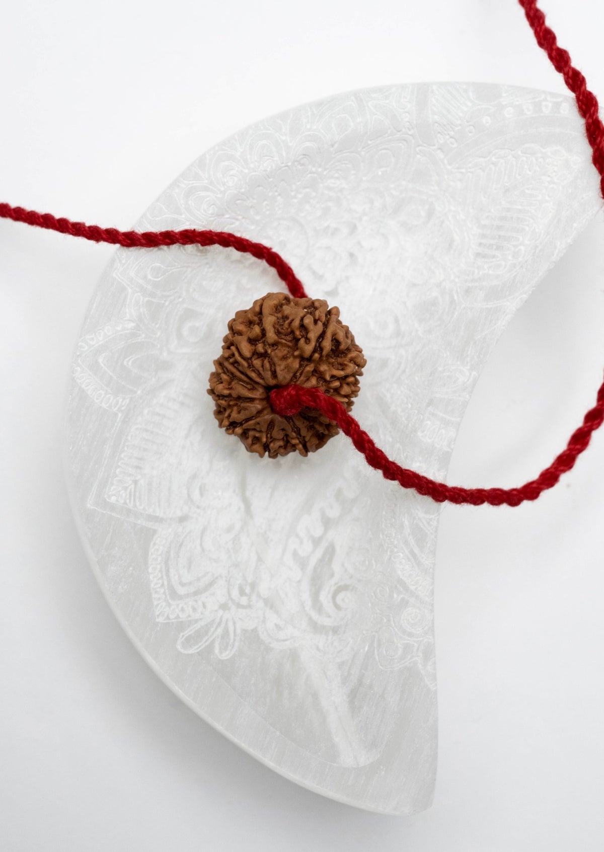 13 Mukhi Rudraksha INDRA, KAMDEV, CUPID | Love, Abundance, Charisma