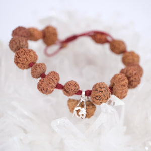 SIDDHA Bracelet | 1-14 Mukhi, Ganesh & Gauri Shankar, Indonesian premium Rudraksha