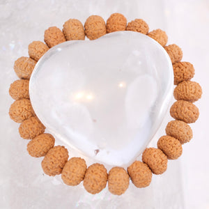 TEMPLE Collection: Riddhi Siddhi GANAPATI | Finest Indonesian 8 Mukhi Rudraksha Bracelet