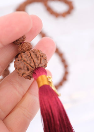 TEMPLE Collection GANAPATI Riddhi Siddhi Mala | Nepal 8 Mukhi Guru bead with 108 Premium Indonesian 8 Mukhi Rudraksha