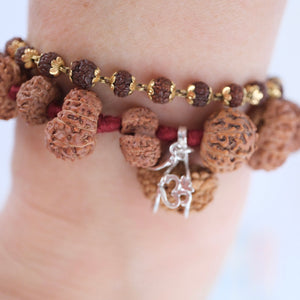 SIDDHA Bracelet | 1-14 Mukhi, Ganesh & Gauri Shankar, Indonesian premium Rudraksha