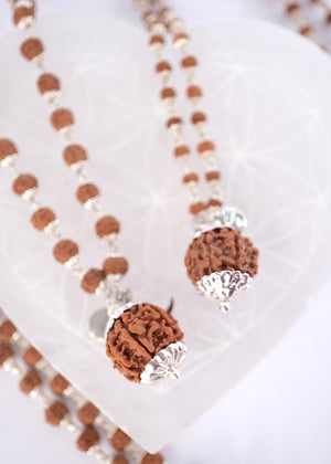 Sterling silver capped seven mukhi rudraksha