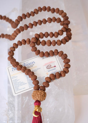 TEMPLE Collection: VISHNU Mala | Nepal 10 Mukhi Guru bead with 108 Indonesian 10 Mukhi Rudraksha