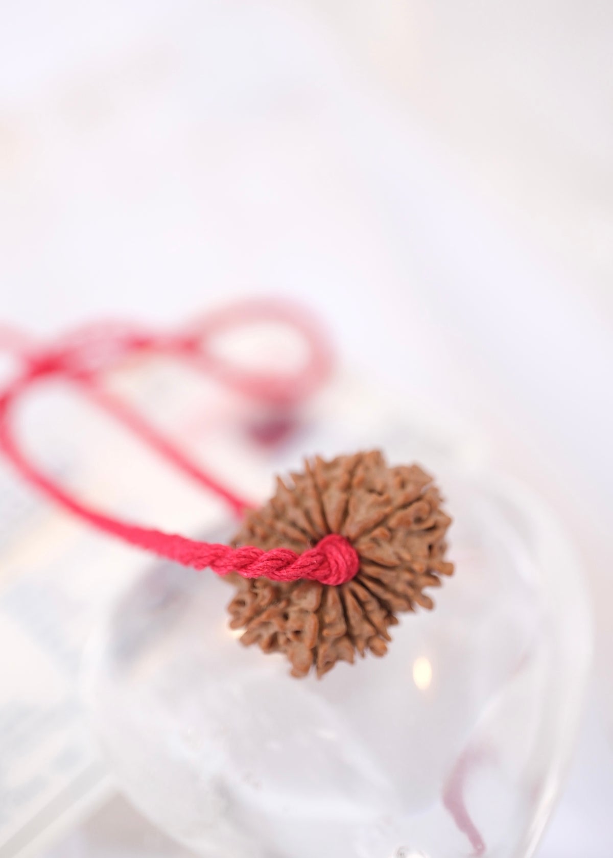 14 Mukhi Collectors Nepal Rudraksha 'DEV MANI' Pendant | Prosperity in all areas, Protection SHIVA