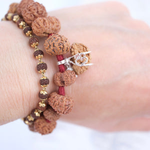 SIDDHA Bracelet | 1-14 Mukhi, Ganesh & Gauri Shankar, Indonesian premium Rudraksha