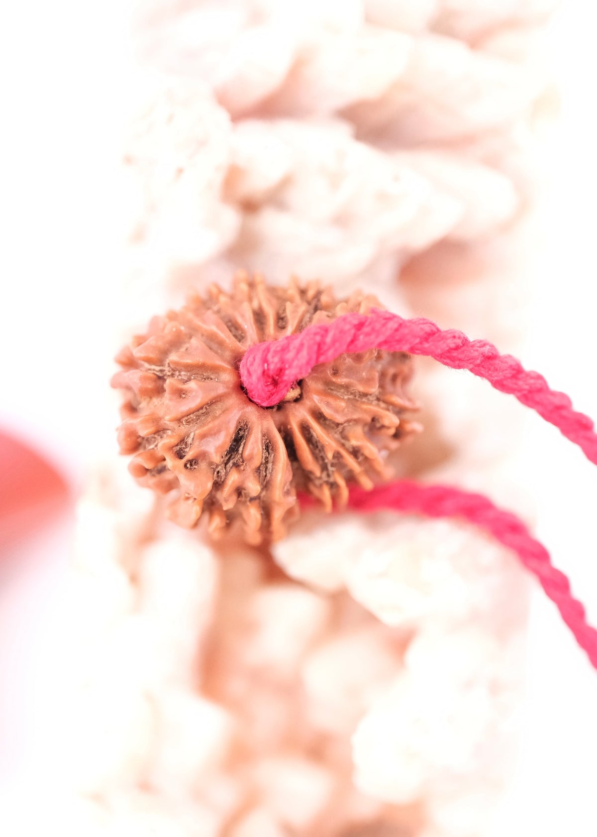 14 Mukhi Collectors Nepal Rudraksha &#39;DEV MANI&#39; Pendant | Prosperity in all areas, Protection SHIVA
