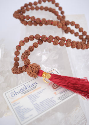 TEMPLE Collection: MAHADEV | NEPAL 5 Mukhi Guru bead, large 10mm premium Rudraksha Mala