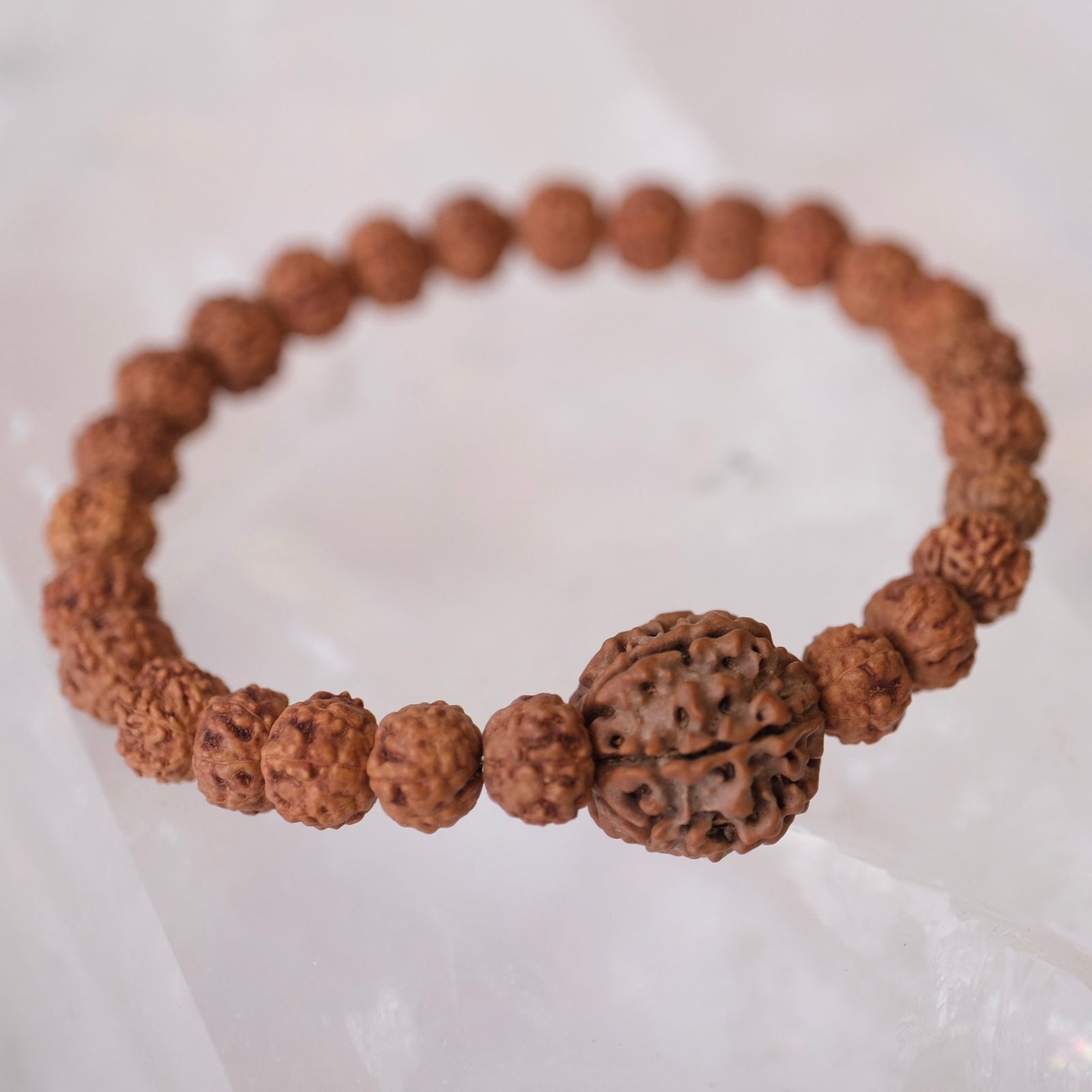 TEMPLE Collection LAKSHMI 7 Mukhi Nepal Guru bead with 7 Mukhi from Indonesia | Rudraksha bracelet