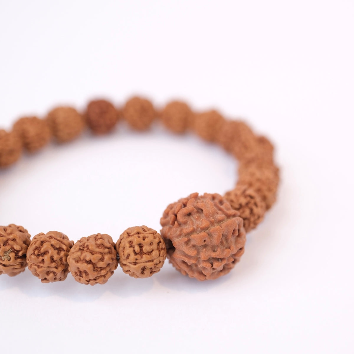 TEMPLE Collection LAKSHMI 7 Mukhi Nepal Guru bead with 5 Mukhi from Indonesia | Rudraksha bracelet
