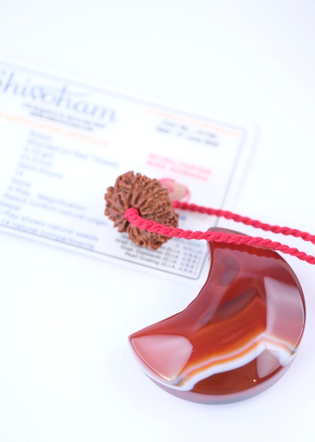 14 Mukhi Collectors Nepal Rudraksha &#39;DEV MANI&#39; Pendant | Prosperity in all areas, Protection SHIVA