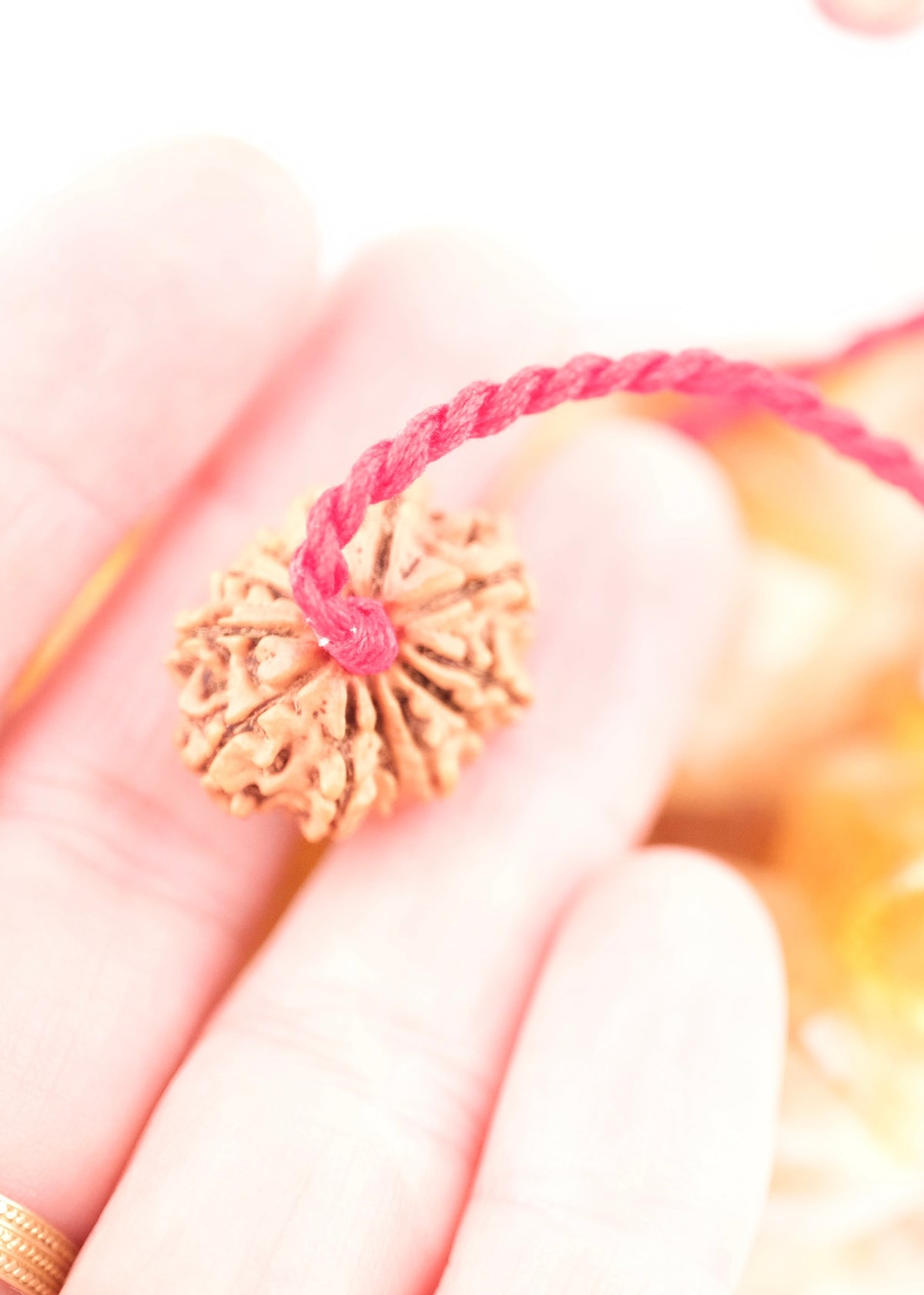 12 Mukhi Collectors Nepal Rudraksha | SURYA Sun, Vital Energy, Strength &amp; Success