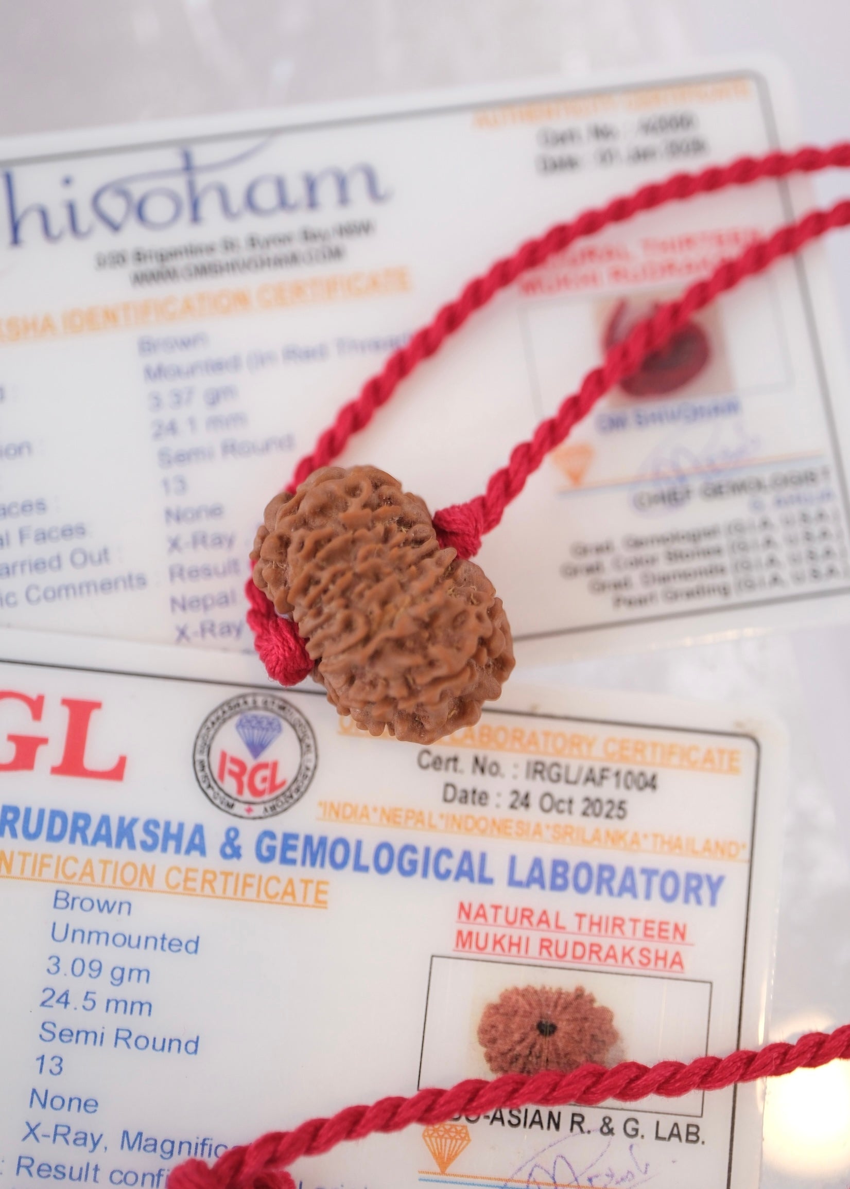 13 Mukhi Collectors Nepal Rudraksha INDRA, KAMDEV, CUPID | Love, Abundance, Charisma