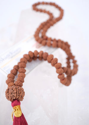TEMPLE Collection GANAPATI Riddhi Siddhi Mala | Nepal 8 Mukhi Guru bead with 108 Premium Indonesian 8 Mukhi Rudraksha