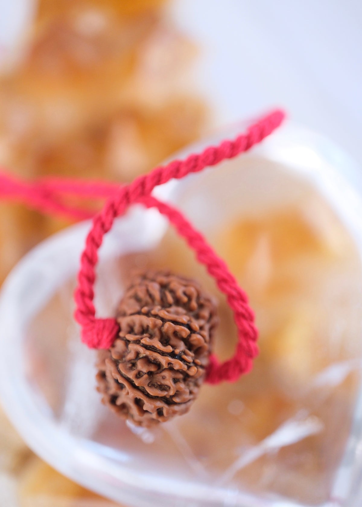 TEN Mukhi Nepal Rudraksha Pendant 'The Shield of Vishnu' | Protector of the Universe ensuring Success & Victory