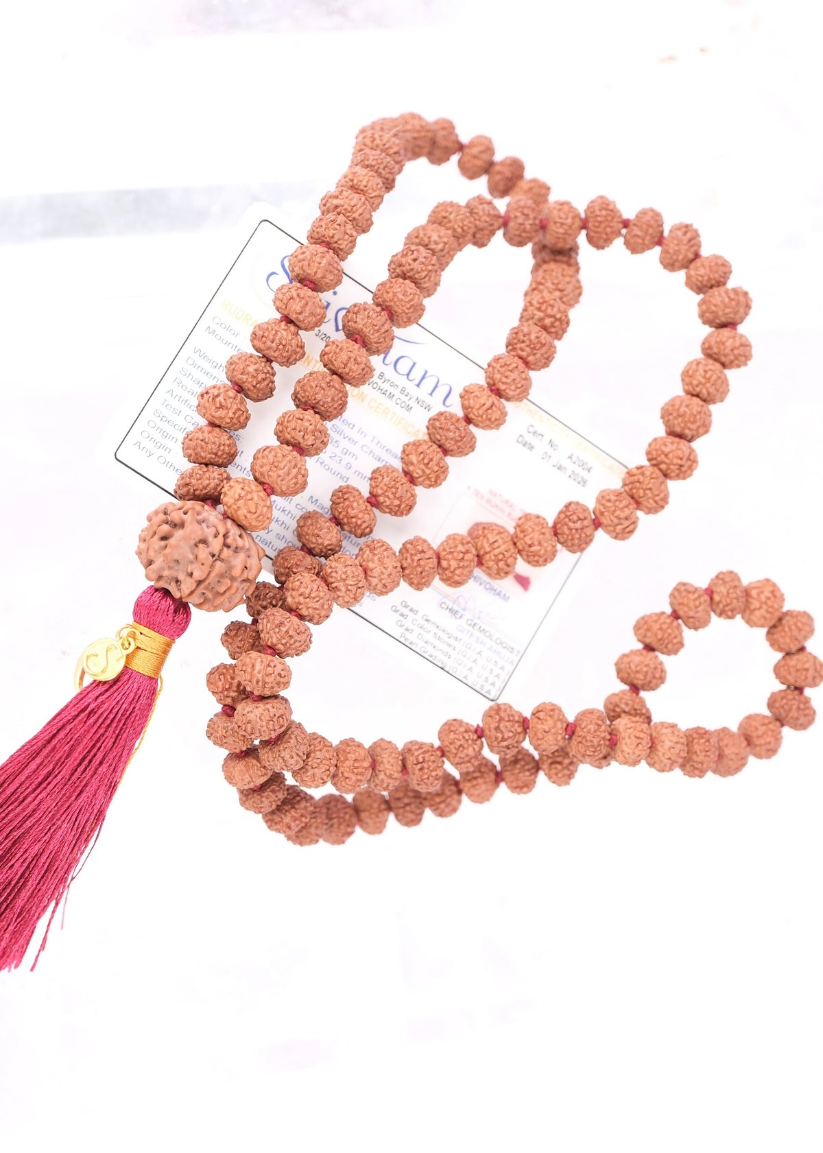 TEMPLE Collection GANAPATI Riddhi Siddhi Mala | Nepal 8 Mukhi Guru bead with 108 Premium Indonesian 8 Mukhi Rudraksha