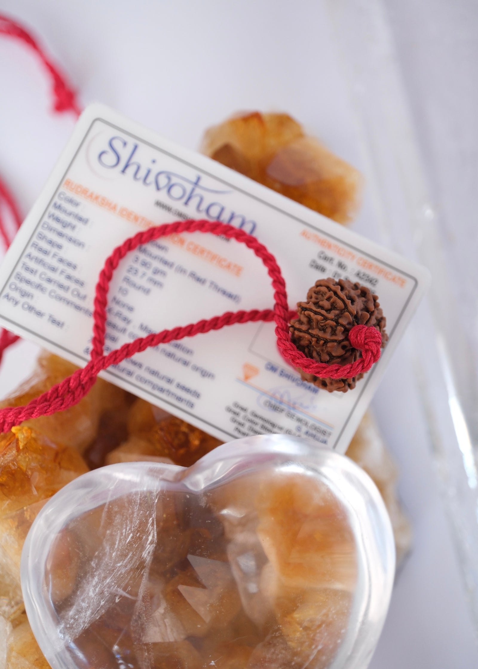 TEN Mukhi Nepal Rudraksha Pendant 'The Shield of Vishnu' | Protector of the Universe ensuring Success & Victory