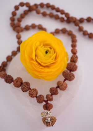 Rare Indonesian Siddha Mala Rudraksha strung as 81 beads with a Gauri Shankar guru bead and Ek Mukhi Om pendant, blessed by Ma Ganga.