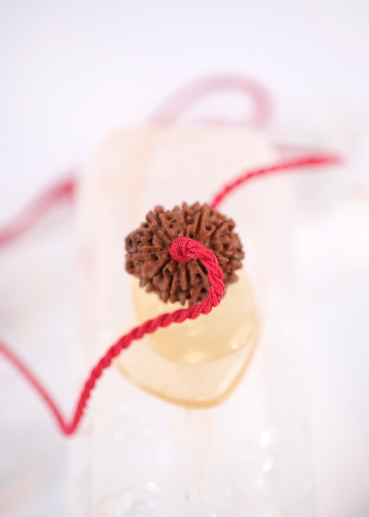 10 Mukhi Collectors Nepal Rudraksha