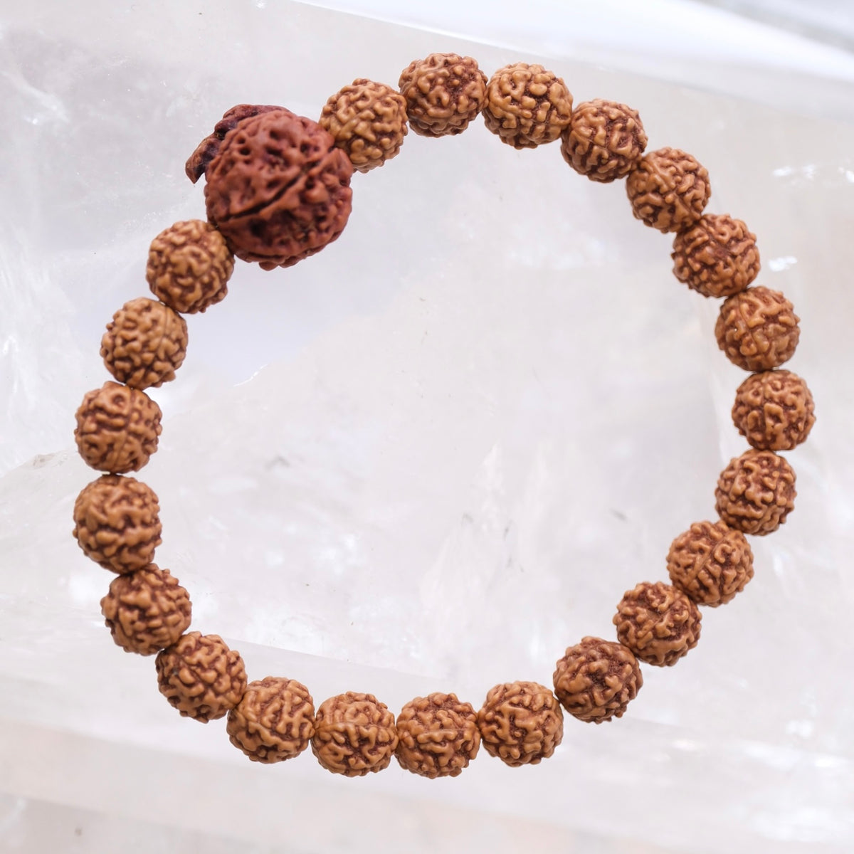 TEMPLE Collection: GANESH Nepal Rudraksha Mens bracelet
