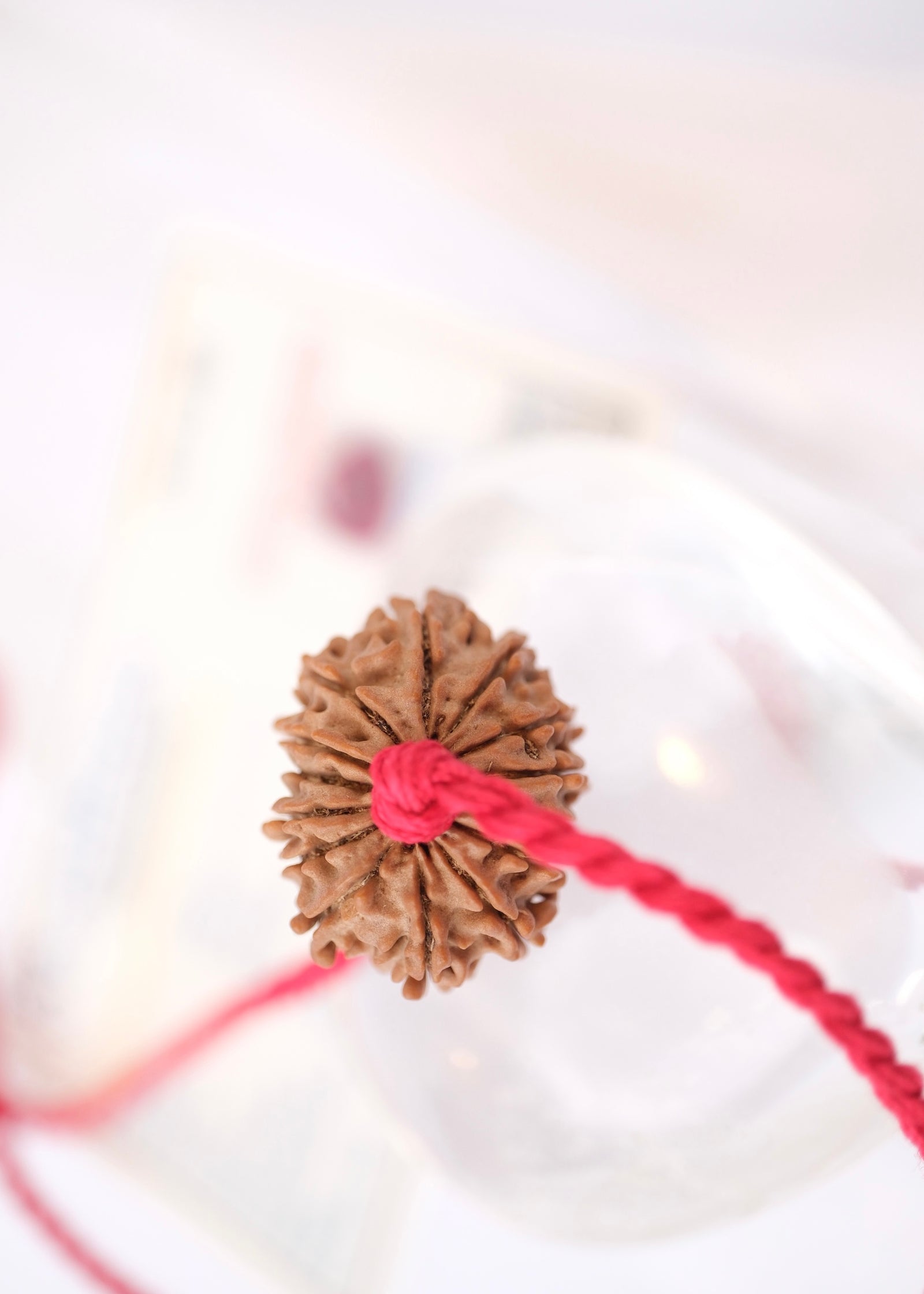 14 Mukhi Collectors Nepal Rudraksha 'DEV MANI' Pendant | Prosperity in all areas, Protection SHIVA