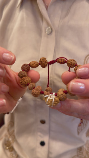 SIDDHA Bracelet | 1-14 Mukhi, Ganesh & Gauri Shankar, Indonesian premium Rudraksha