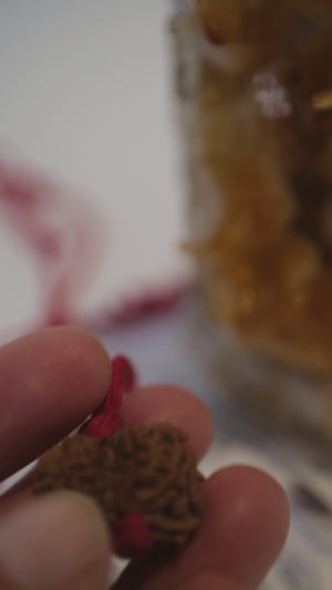 Garbh Gauri Rudraksha | Rare Collectors Nepal bead