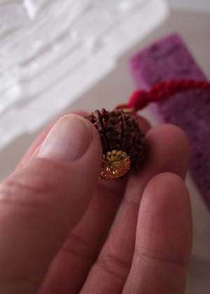 10 Mukhi 18k Gold Collectors Nepal Rudraksha Pendant | VISHNU Abundance & Victory