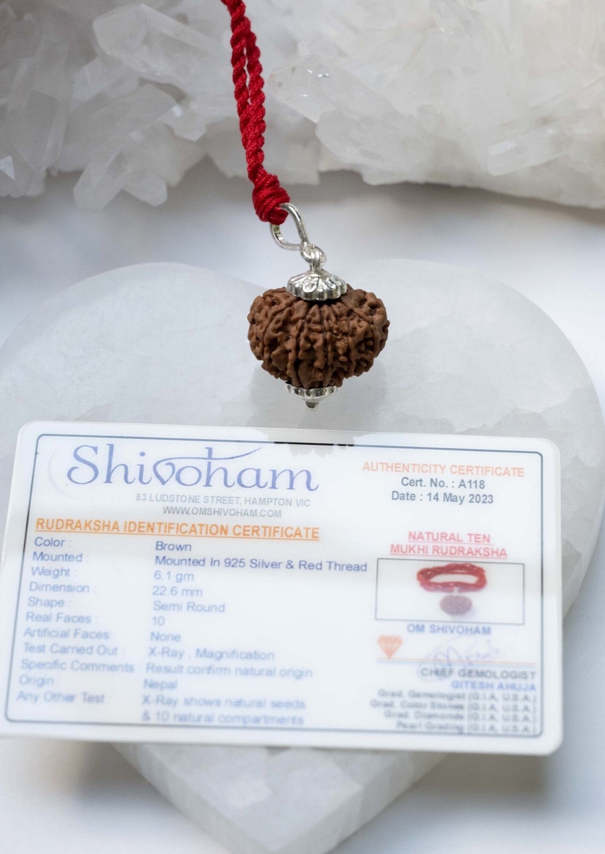 10 Mukhi Rydraksha, Original Nepal Das Mukhi VISHNU Rudraksha. Shivoham Australia 