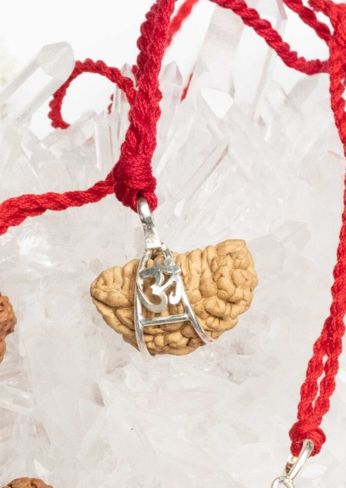 1 Mukhi OM Sterling Silver Collectors Rudraksha Pendant | SHIVA Consciousness &amp; Liberation