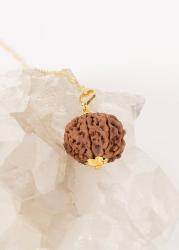 Authentic NEPAL 8 Mukhi Rudraksha Australia | 18k Gold Pendant from Shivoham