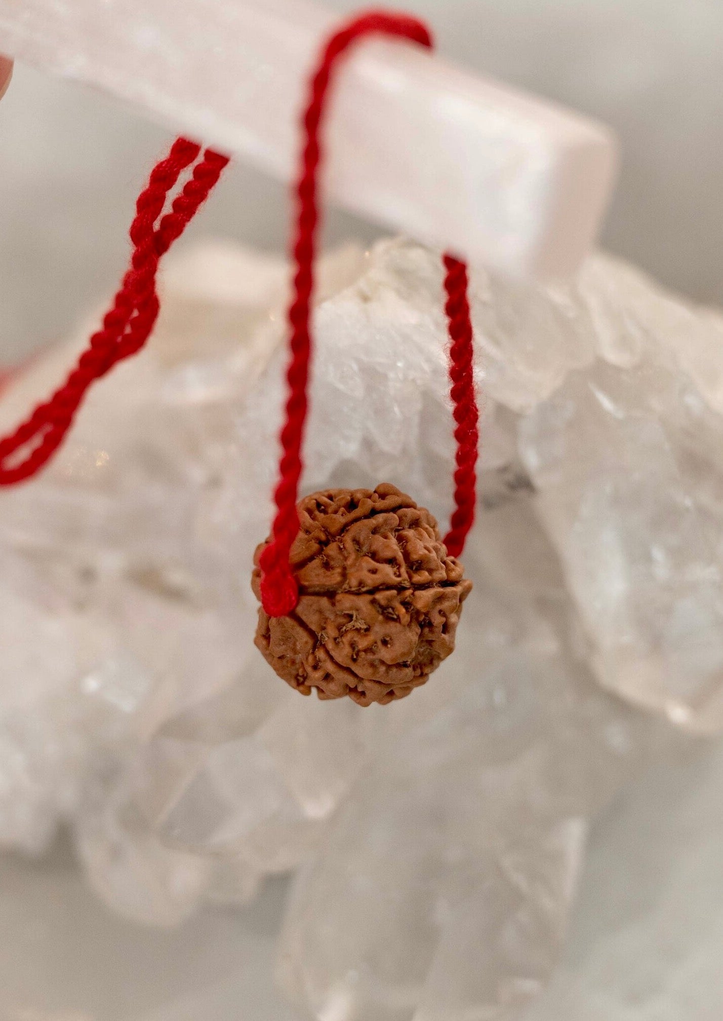 6 Mukhi COURAGE Collectors Nepal Rudraksha | Represents Kartikeya Power & Success