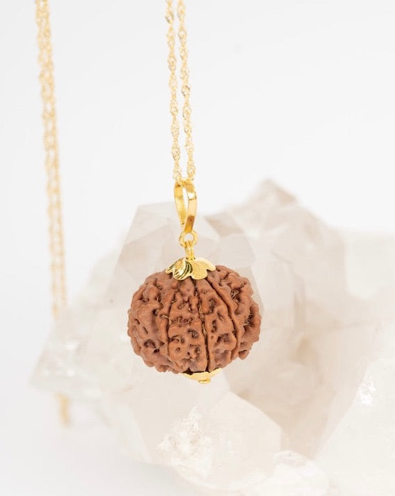 8 Mukhi Rudraksha Australia | 18k Gold Pendant from Shivoham 