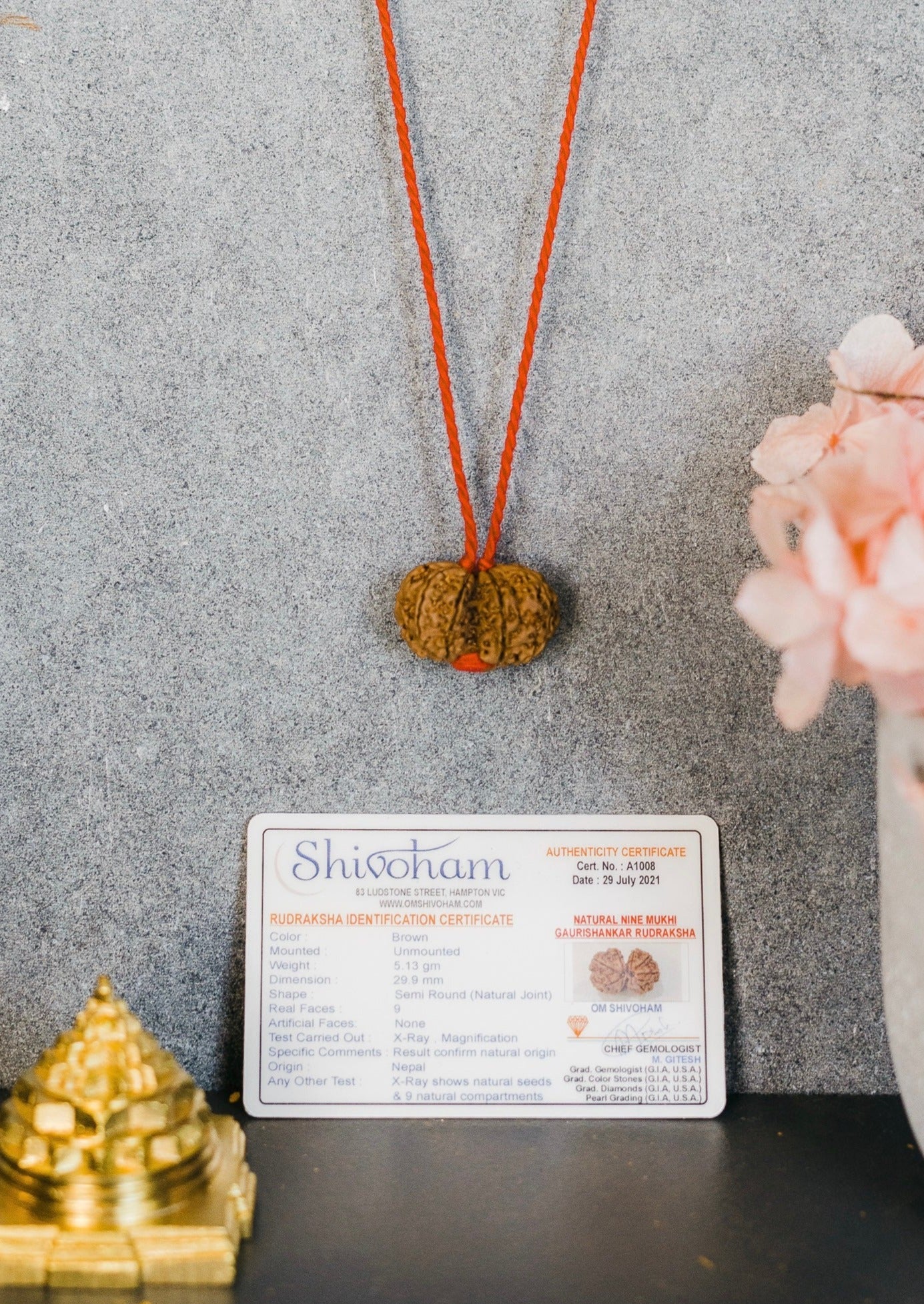 GAURI SHANKAR Rare Collectors Nepal Rudraksha  | Union, Self-Realisation, Awakening