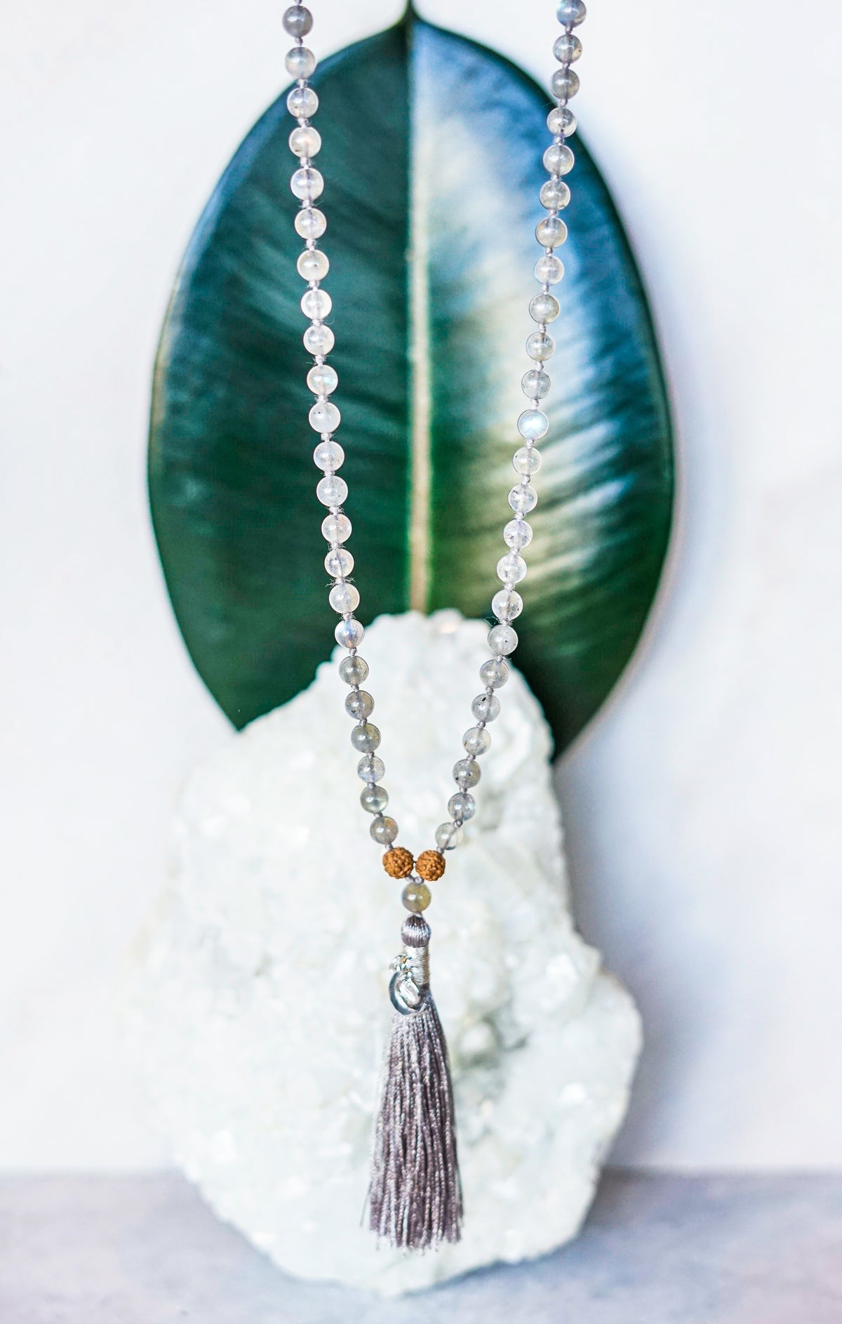 DARSHAN 'Visionary' and the Milky Way 'Star People' | Wisdom Mala