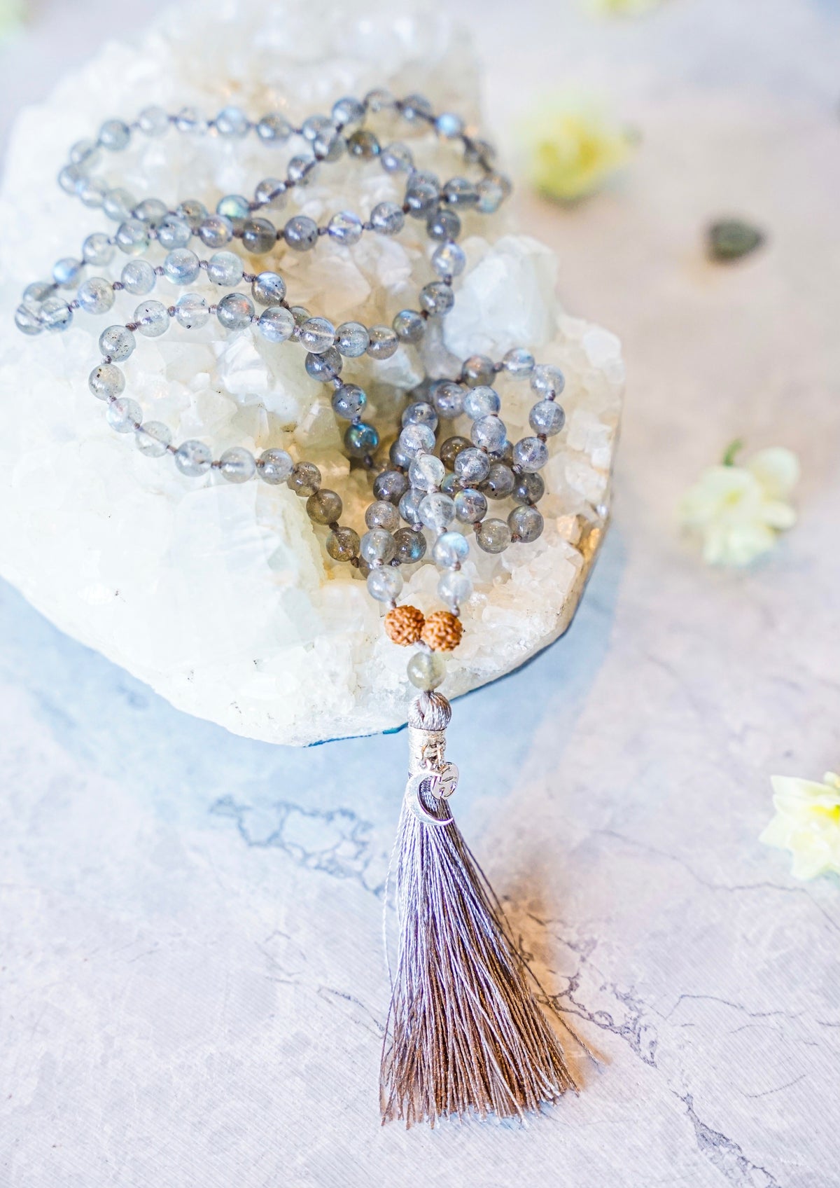 DARSHAN 'Visionary' and the Milky Way 'Star People' | Wisdom Mala