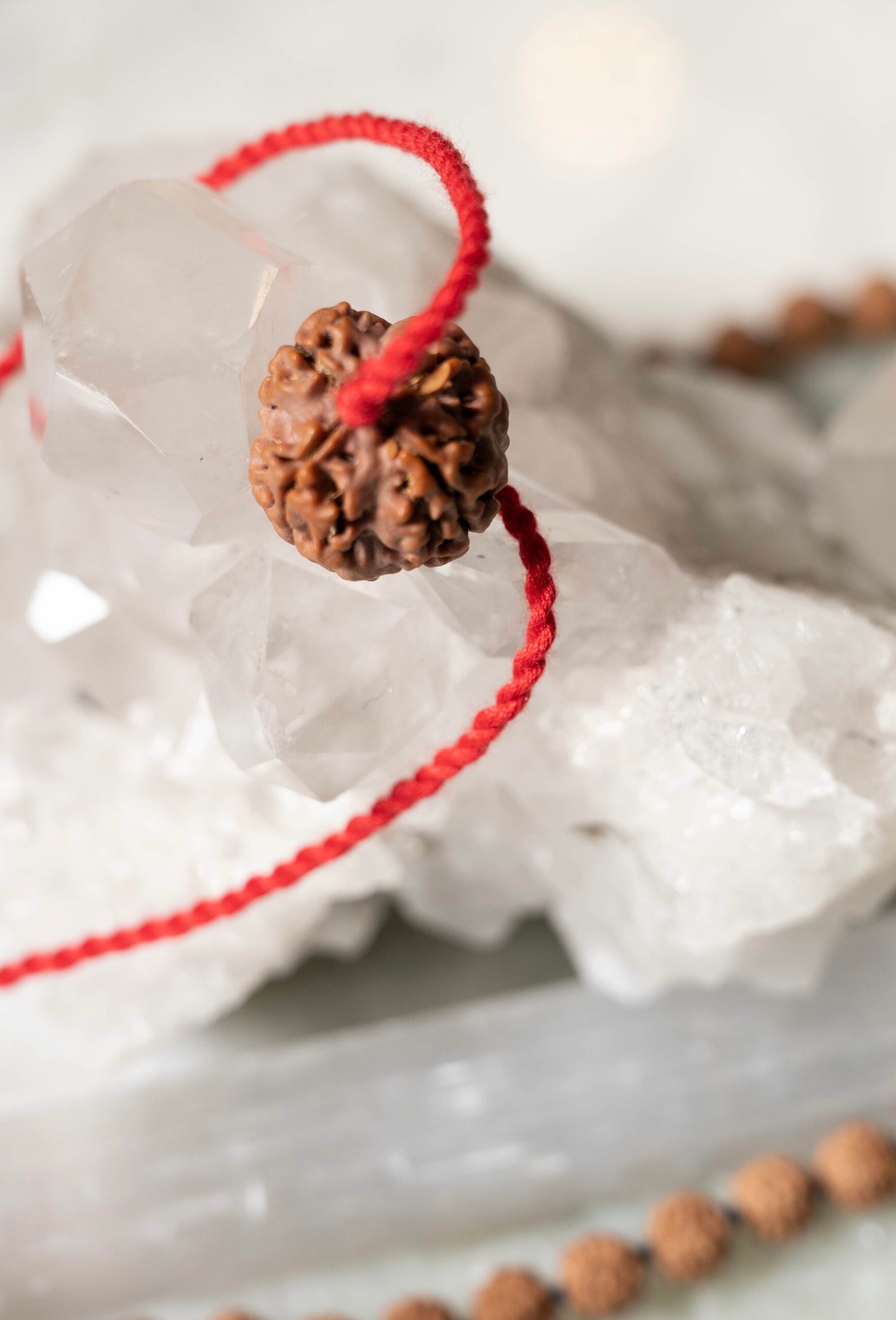 4 Mukhi Collectors Nepal Rudraksha Saraswati | Goddess of the Arts & Intelligence