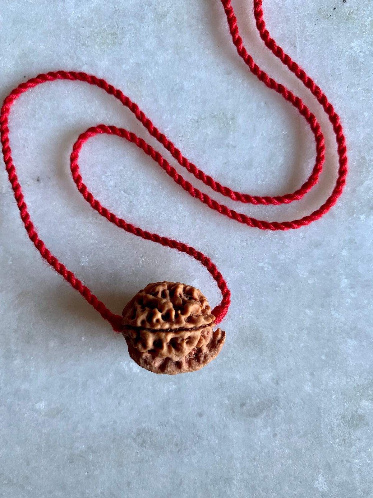Ganesh Rudraksha | Removing Obstacles &amp; Clearing the Life Path