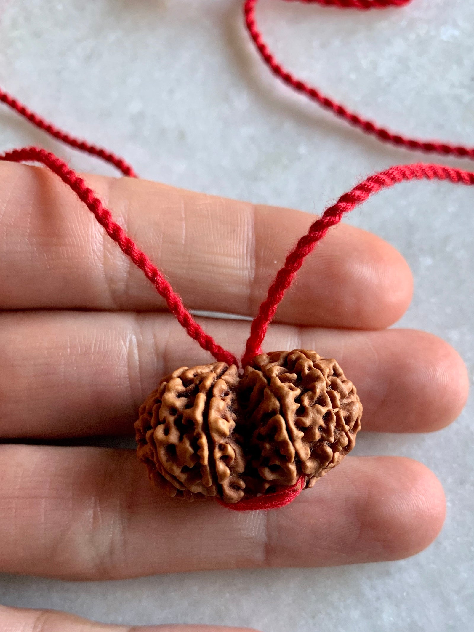 GAURI SHANKAR Rare Collectors Nepal Rudraksha  | Union, Self-Realisation, Awakening