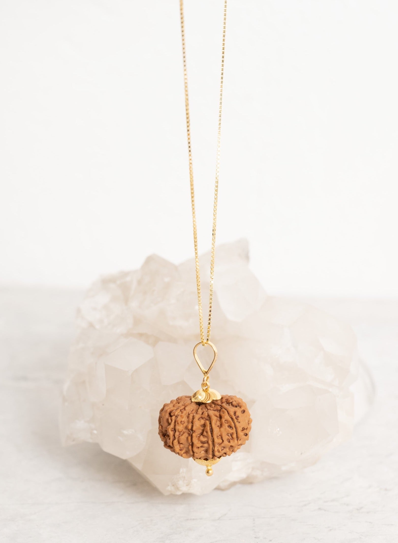 10 Mukhi Rudraksha in 18K Gold Pendant | Shivoham Australia 