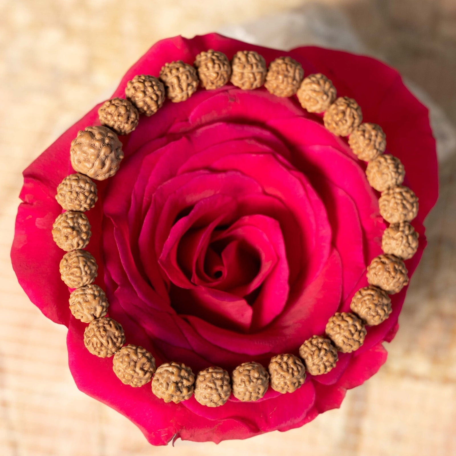 SHIVA Rudraksha Bracelet